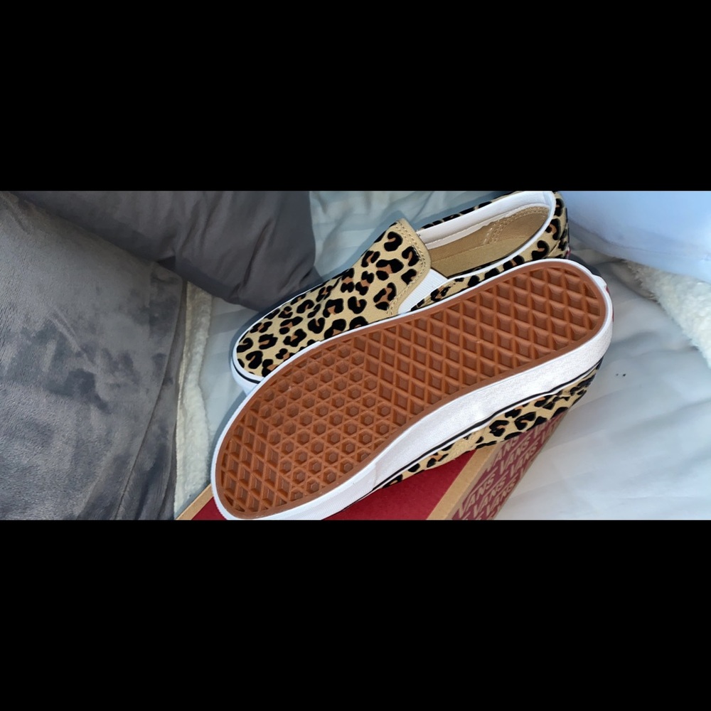 Cheetah vans